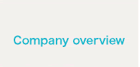 Company overview